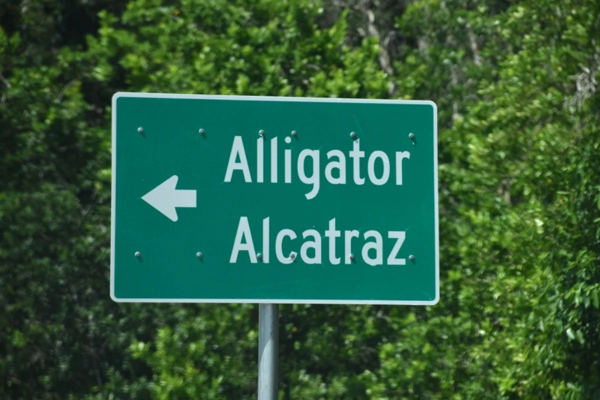 Guardias de Alligator Alcatraz