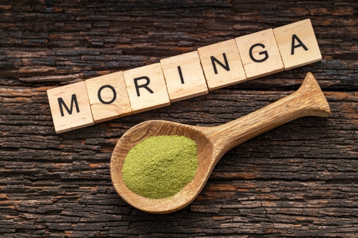 Retiro de polvo de moringa por Salmonella
